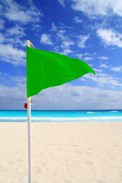 Πράσινη, κυματίζουσα σημαία παραλία καλές καιρικές συνθήκες ανέμου Καραϊβικής — Φωτογραφία Αρχείου