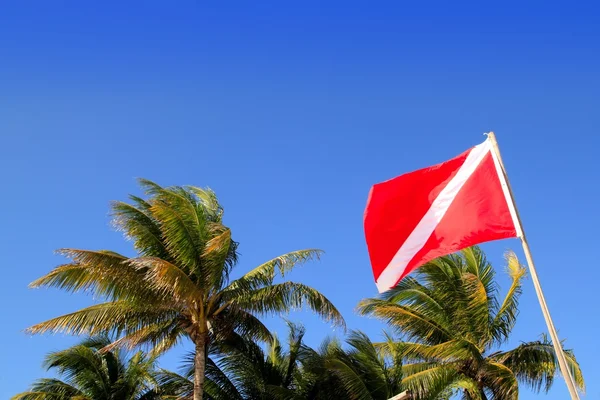 Scuba diver naar beneden vlag tropische palm bomen blauwe hemel — Stockfoto