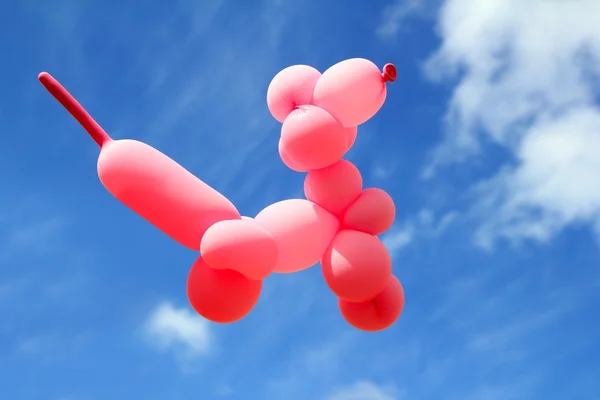 Ballong med pudel hund caniche form flyga blå himmel — Stockfoto