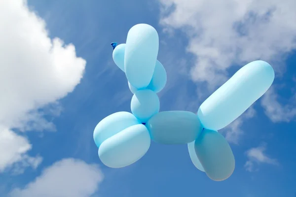 Ballon kaniş köpek caniche şekli ile mavi gökyüzünde uçmak — Stok fotoğraf