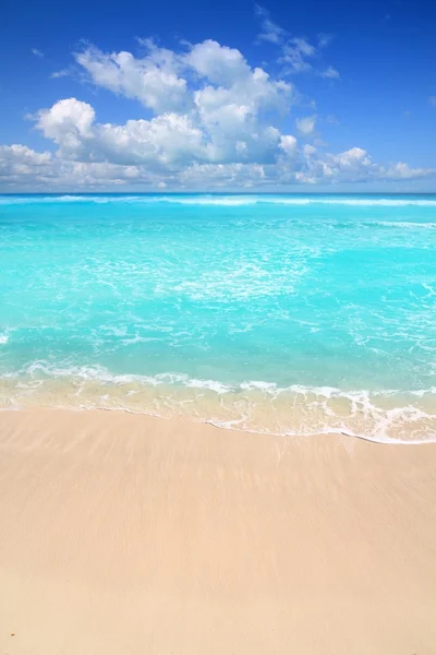 晴れた日に完璧な海カリブ海のターコイズ ブルーのビーチ — ストック写真