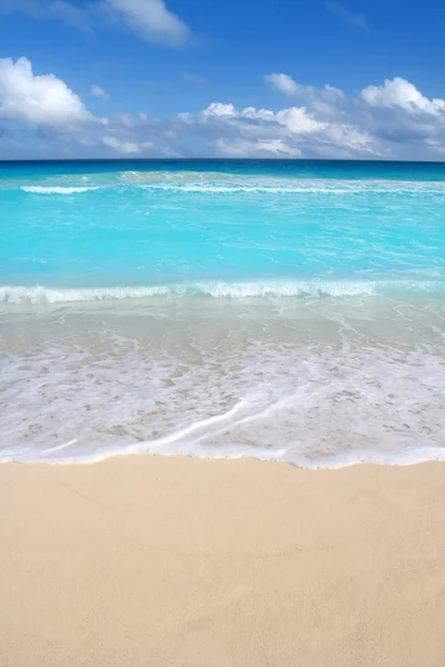 Praia tropical vertical Caribe mar azul-turquesa — Fotografia de Stock