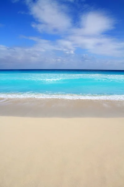 Beach tropical vertical Caribbean turquoise sea — Stock Photo, Image
