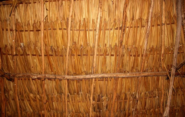 Palmboom laat in zonnedak palapa hut dak — Stockfoto