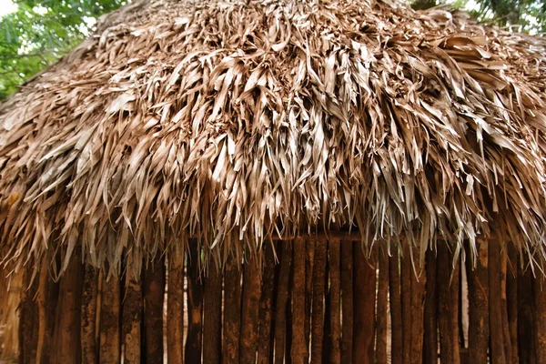 Kunyhó palapa mexikói dzsungel Maja ház tető fal — Stock Fotó