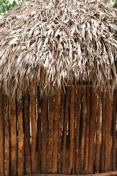 Kunyhó palapa mexikói dzsungel Maja ház tető fal — Stock Fotó