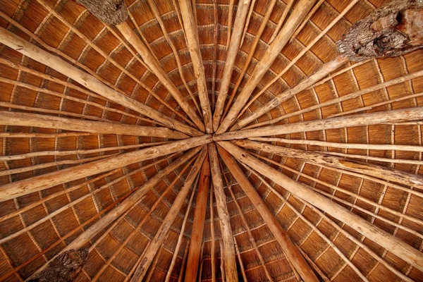 Hut palapa tradicional sol techo wiev desde arriba —  Fotos de Stock
