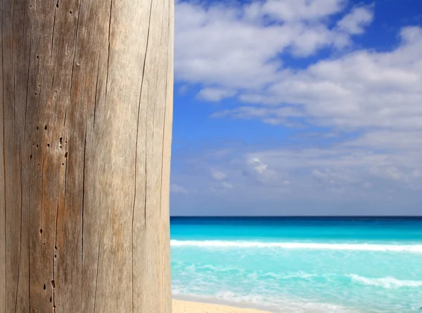 Caribische tropisch strand hout verweerde pool — Stockfoto