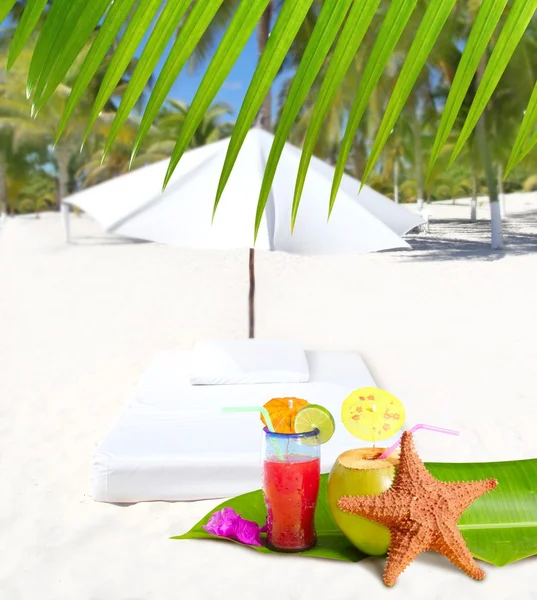 Kokos och cocktail drycker i palmer — Stockfoto