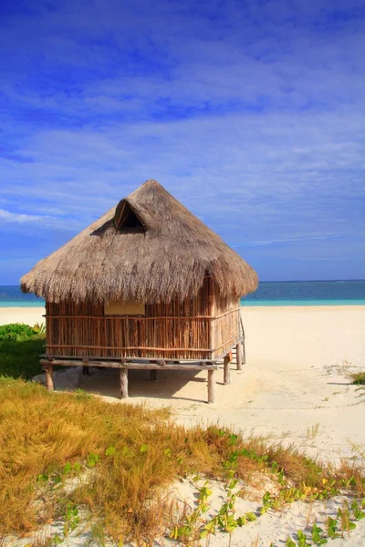 Stuga palapa hut Karibiska havet stranden Mexiko — Stockfoto