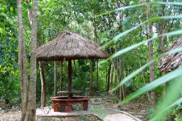Jungle palapa hut sunroof in Mexico Mayan riviera — Stock Photo, Image