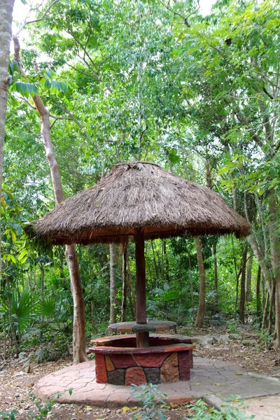 멕시코 마 야 리비에라에서 정글 palapa 헛 썬 루프 — 스톡 사진