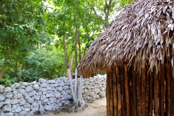 헛 palapa 멕시코 정글 마 야 하우스 지붕 벽 — 스톡 사진