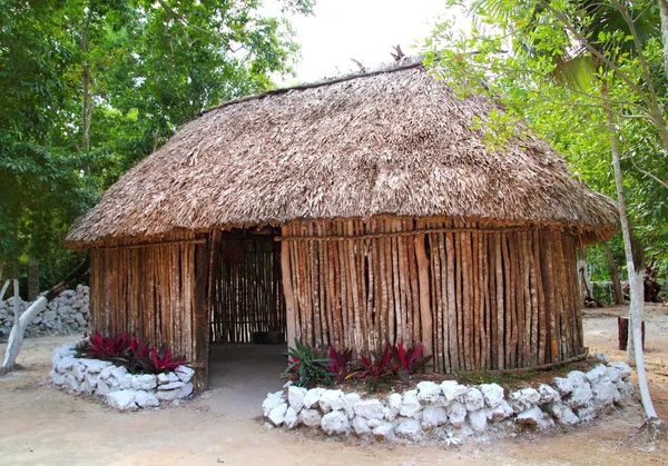 Cabaña de madera maya México cabaña palapa — Foto de Stock