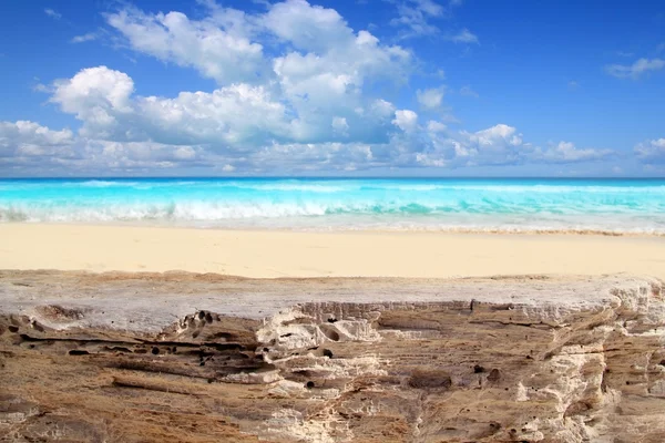 Карибский тропический пляж из выветриваемого известняка — стоковое фото