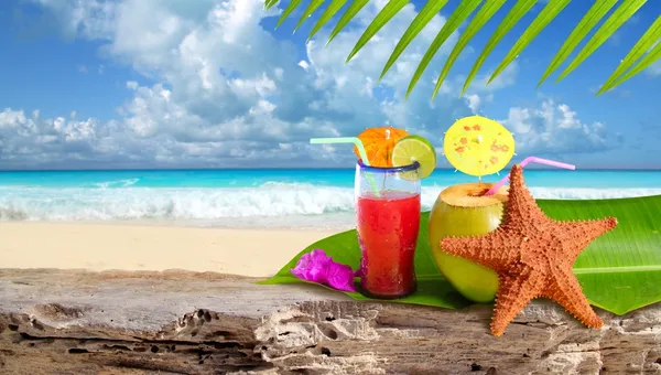 Cocktail di cocco stelle marine spiaggia tropicale — Foto Stock