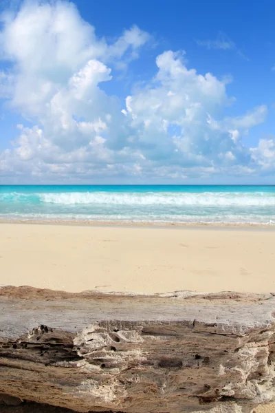 Καραϊβικής τροπική παραλία από ξεπερασμένο ασβεστόλιθο — Φωτογραφία Αρχείου