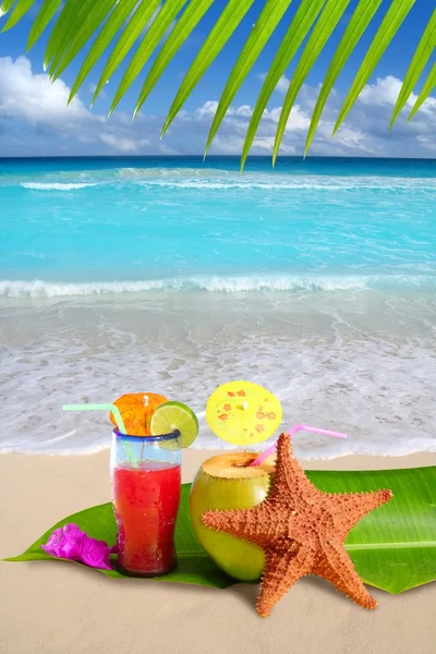 Coconut red cocktail with starfish in tropical beach — Stock Photo, Image