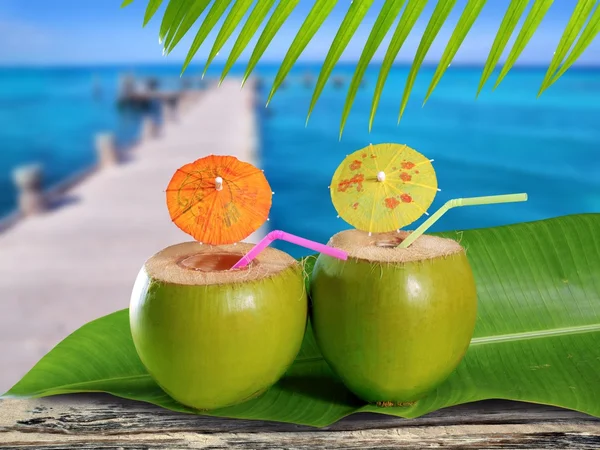 Cocos coquetéis de palha em cais de mar tropical caribenho — Fotografia de Stock