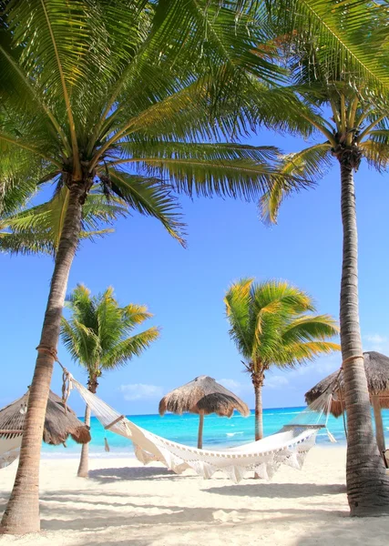 Karibiska stranden hängmatta och palm träd — Stockfoto