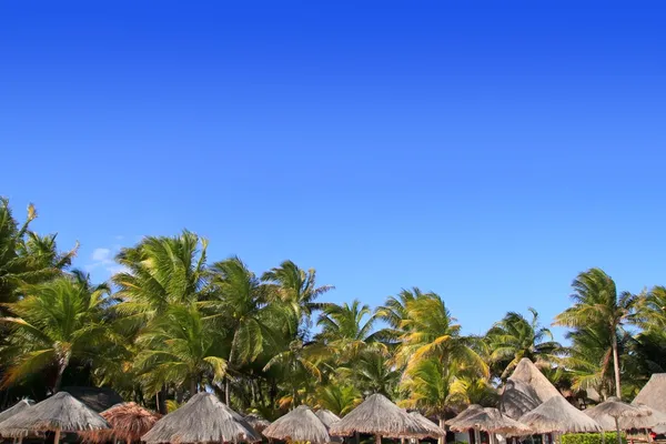 Playa del carmen palapa tropikalnych palm rosnących Meksyk — Zdjęcie stockowe