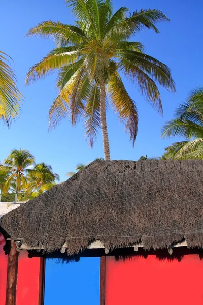 Cabaña caribeña casa roja cocoteros —  Fotos de Stock