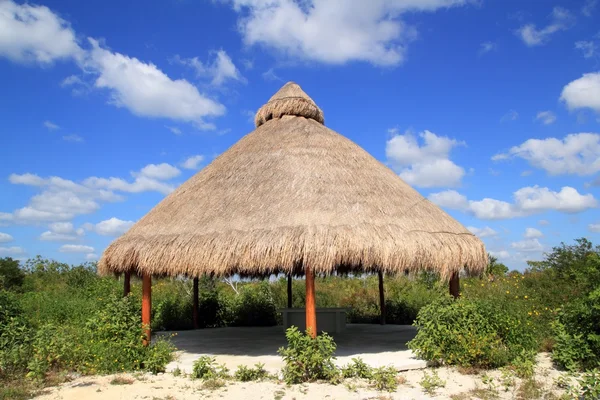 Grote palapa hut zonnedak in mexico jungle — Stockfoto