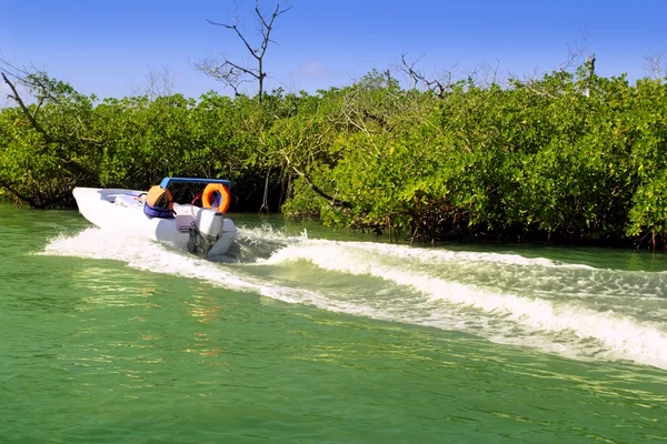 Bootfahren in Mangroven an der Riviera Maya in Mexiko — Stockfoto