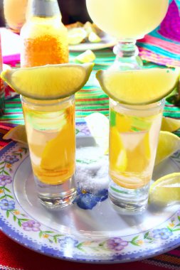 Tequila salt lemon alcohol mexican drink clipart