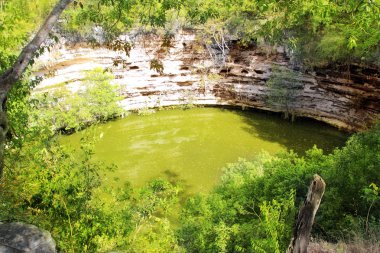 Cenote Sagrado Xtoloc Sacred Well Chichen Itza clipart