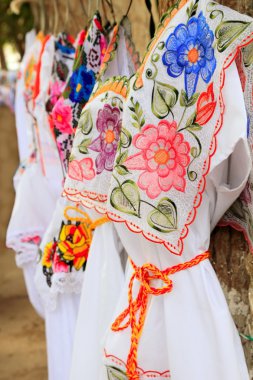 Mayan woman dress embroidery Yucatan Mexico clipart