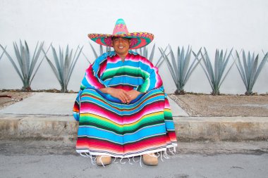 Meksikalı adam fötr şapka hırka ve agave kaktüs oturmak