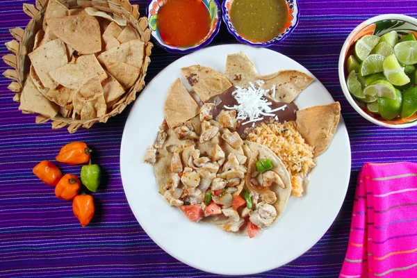 Tacos de pollo salsa de chile estilo mexicano y nachos —  Fotos de Stock