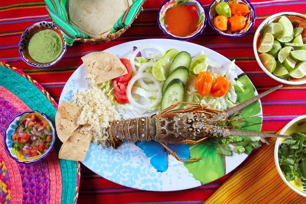 Hummer skaldjur mexikansk stil chili såser tortilla — Stockfoto