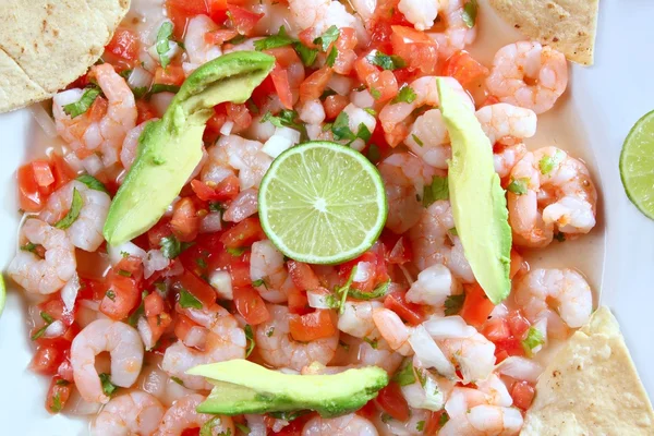 Salad mentah makanan laut udang kamaron ceviche Meksiko — Stok Foto