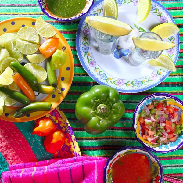 Tequila salt citronpeppar mexikanska chili såser — Stockfoto