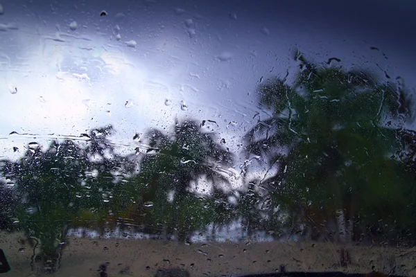 Huracán tropical palmeras tormenta desde el interior del coche —  Fotos de Stock