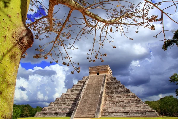Chichen itza dramatische hemel onder de boom takken mexico — Stockfoto