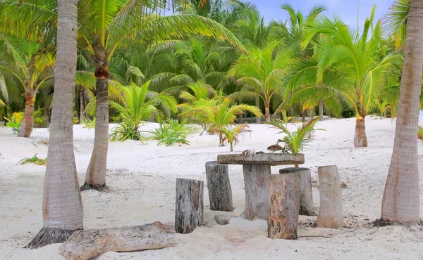 Palm kokosowych tulum beach, stołu i miejsc — Zdjęcie stockowe