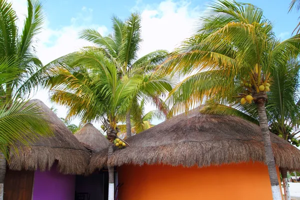 Tropical Caribbean Palapas cabaña cocoteros palmeras —  Fotos de Stock