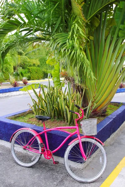 Велосипед розового цвета в кариатиде в Мексике ярких цветов — стоковое фото
