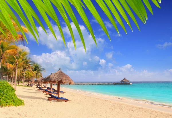 Пляж Майя Ривьера Пляжные пальмы крыша Карибского бассейна — стоковое фото