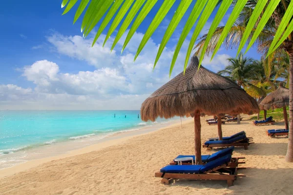 Riviera Maya spiaggia palme tettuccio apribile Caraibi — Foto Stock
