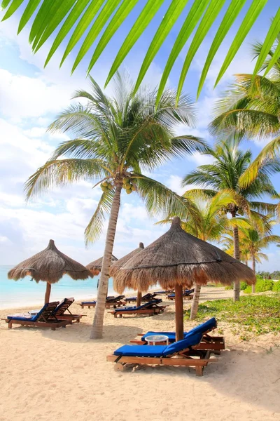 Riviera Maya plage palmiers toit ouvrant Caraïbes — Photo