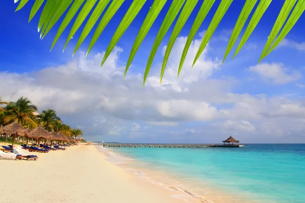 Maya Riviera Strand Palmen Sonnendach Karibik — Stockfoto