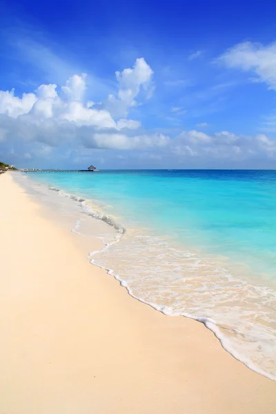 加勒比热带绿松石海滩蓝色天空 — 图库照片