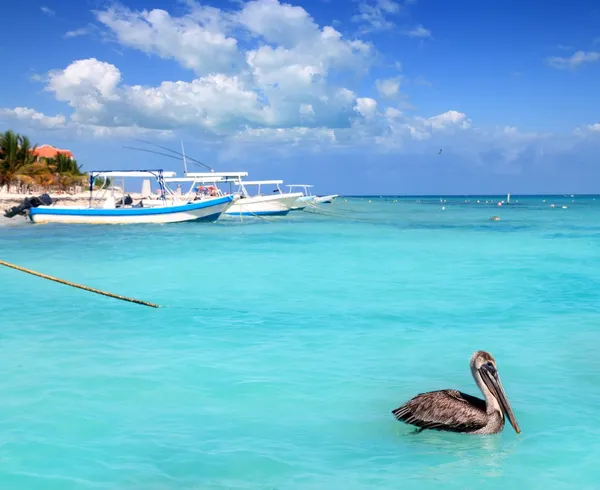 Puerto morelos Maya Rivierası Karayip deniz plaj — Stok fotoğraf