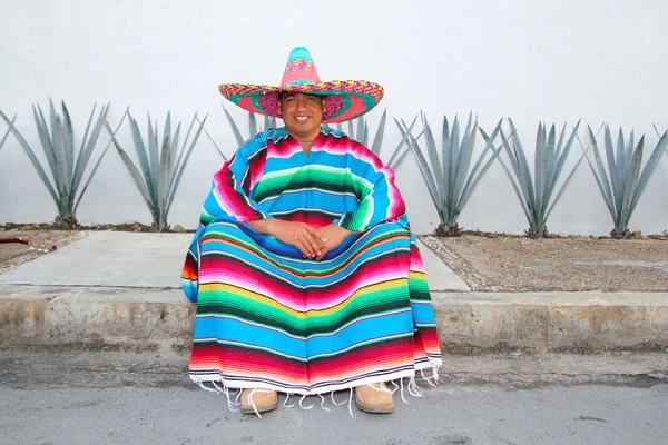 멕시코 사람이 앉아 솜브레로 serape와 용 설 란 선인장 — 스톡 사진