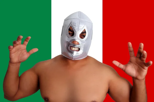 Máscara de lucha mexicana de plata de combate gesto —  Fotos de Stock
