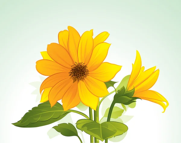Sárga virág virágzik — Stock Vector